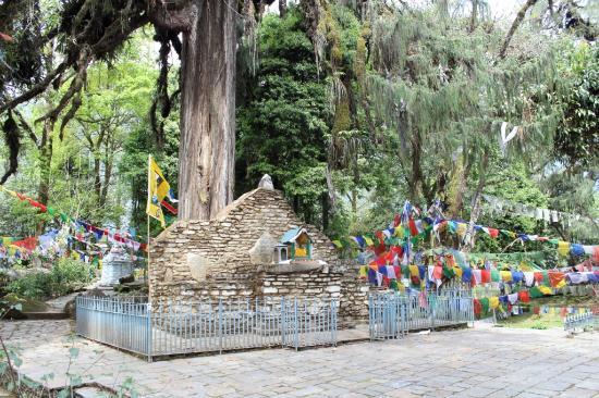 Coronation Throne Of Norbugang